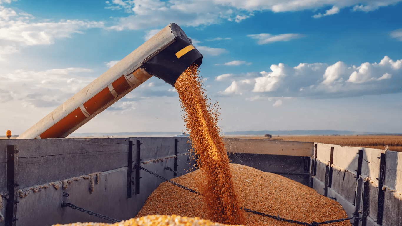 Зняття ембарго на українське зерно: Німеччина розкритикувала три країни