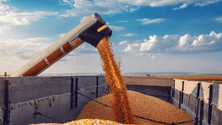 Зняття ембарго на українське зерно: Німеччина розкритикувала три країни - 285x160