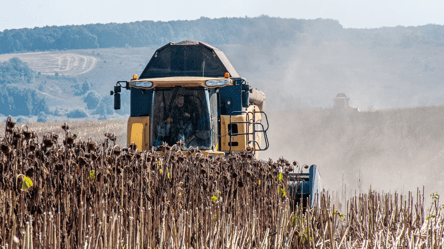 В Україні стрімко дорожчає соняшник — до чого тут ЄС - 285x160