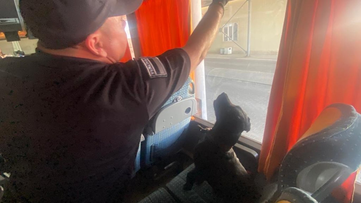 На Одещині службовий спанієль виявив схований в автобусі канабіс