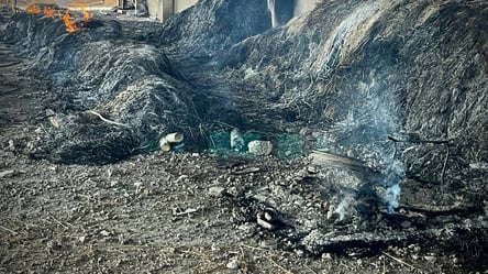 Дронова атака на Одещину — перші фото наслідків обстрілу - 285x160