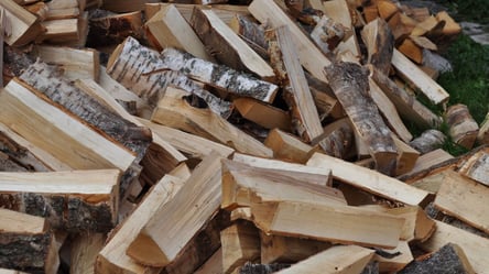 Опалювальний сезон 2023: хто може отримати дрова безкоштовно - 285x160