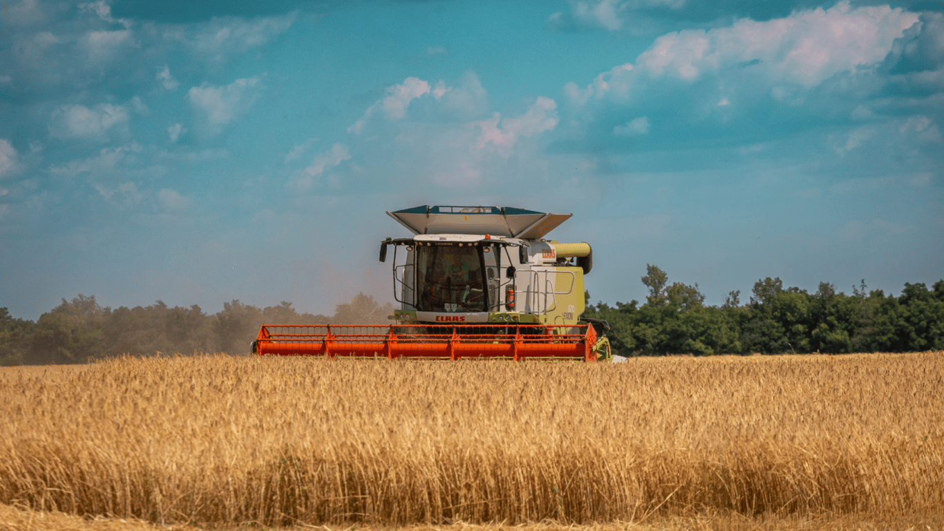 Цены на зерновые в Украине по состоянию на 16 февраля 2024 года