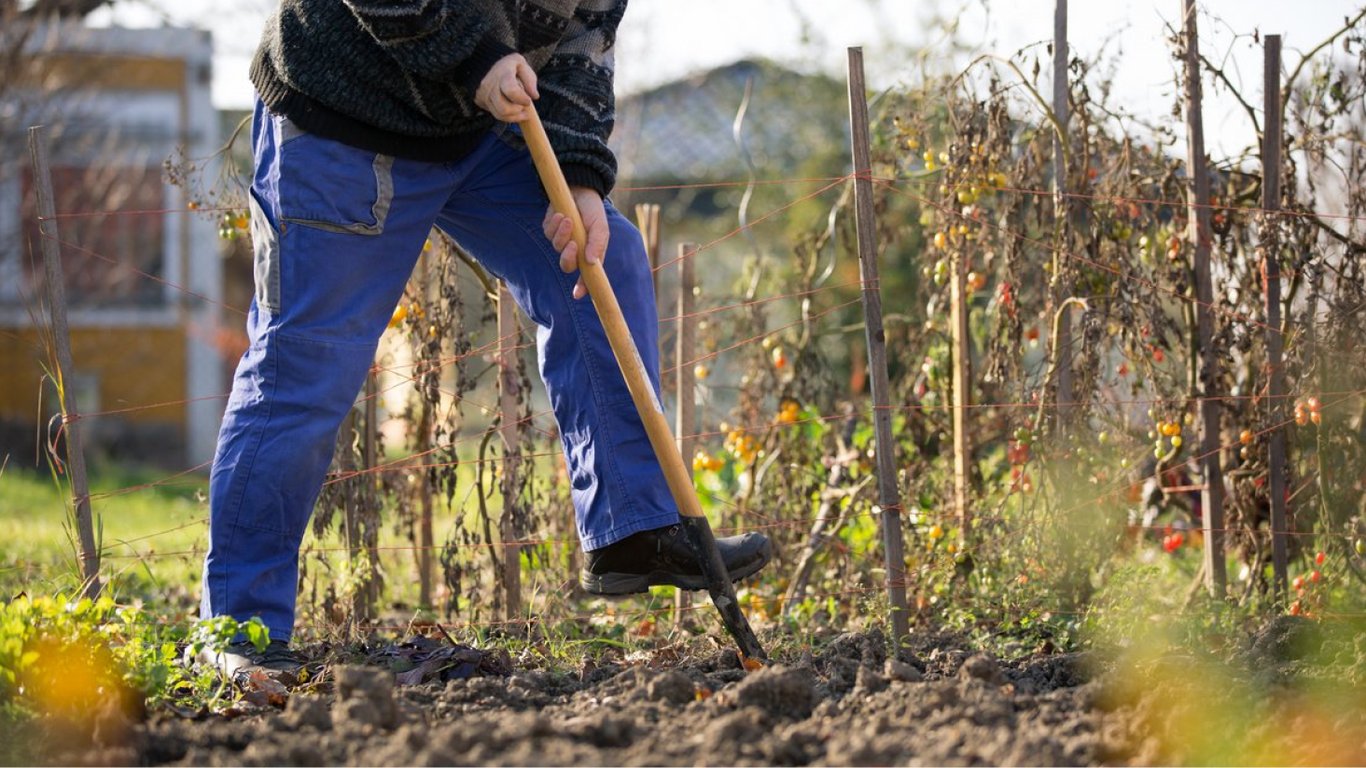 Що зробити на городі до кінця жовтня обов'язково