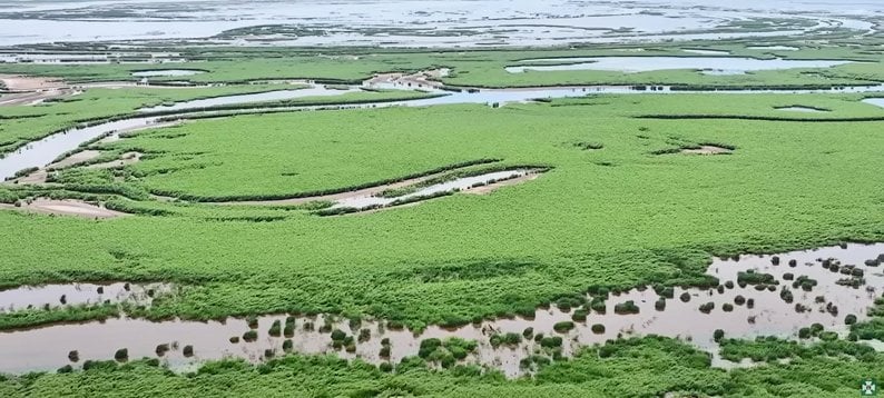 Последствия подрыва ГЭС - как сейчас выглядит Каховское водохранилище - фото 5