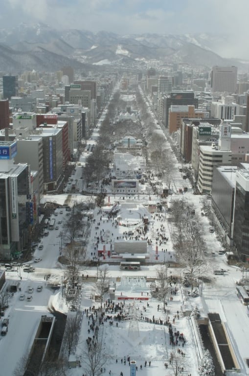 Туристы из Китая платят деньги, чтобы поубирать снег в Японии - фото 1