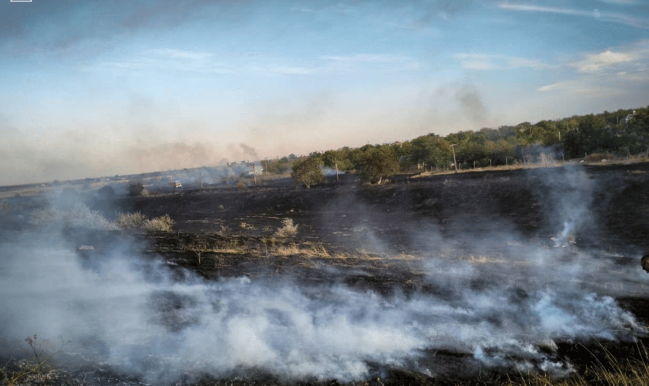 Пожар, Будячки, Одесщине