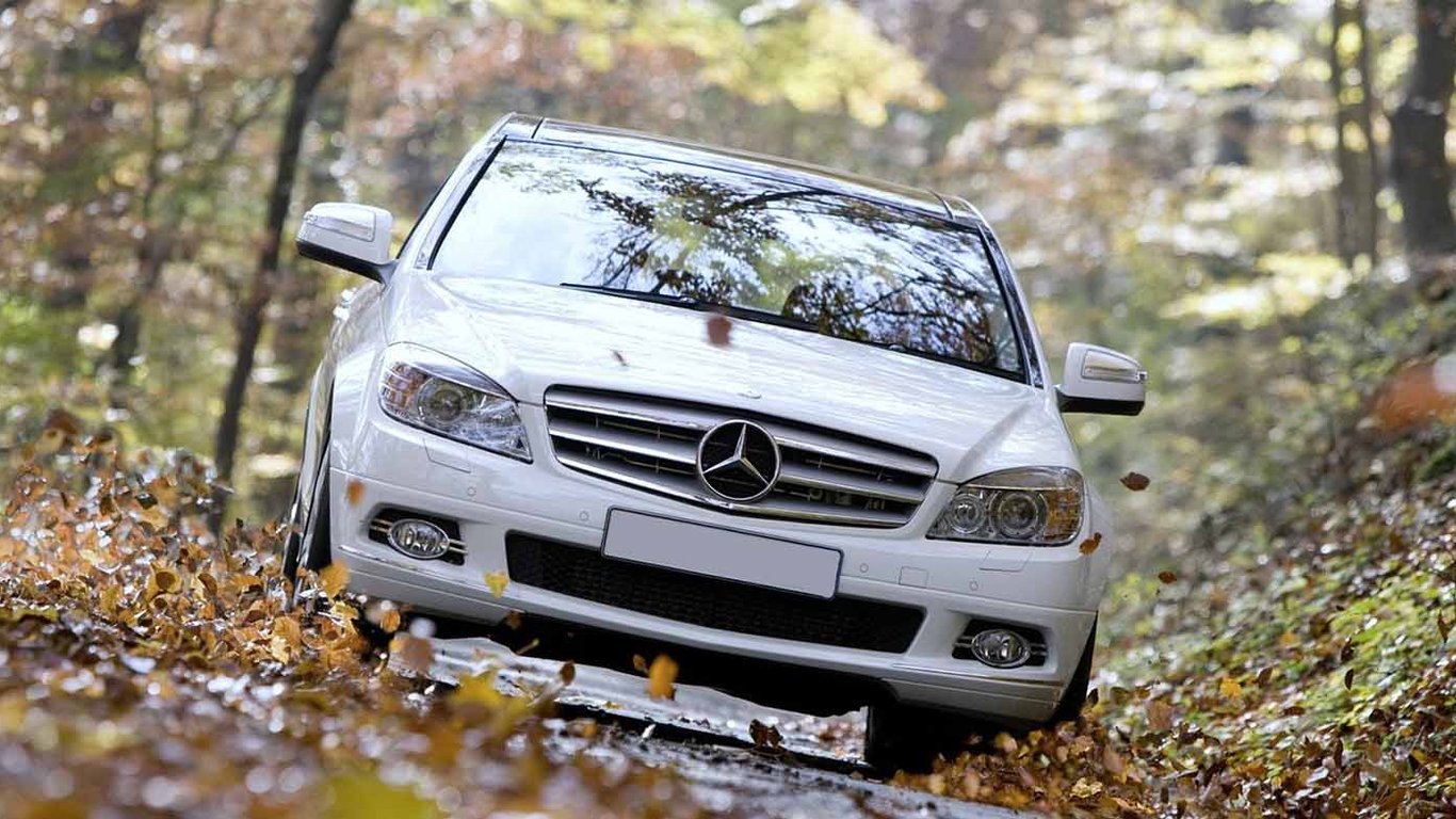 Яку небезпеку несе мокре листя на дорозі пізньої осені: лайфхаки для водіїв