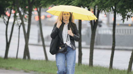 Какие области зальет дождями завтра — Диденко дала прогноз погоды - 285x160