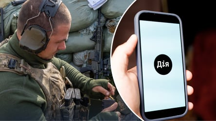 Документы для УБД: в "Дія" запустили новую услугу - 285x160