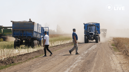 Україна може залишитися без свіжих овочів та фруктів вже цієї зими — відома причина - 290x166