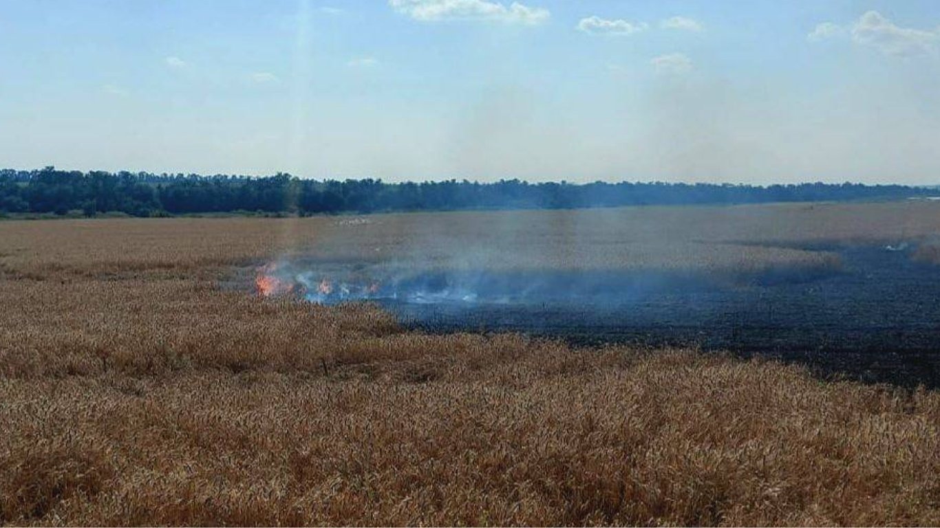 Оккупанты ударили по пшеничным полям Днепропетровской области