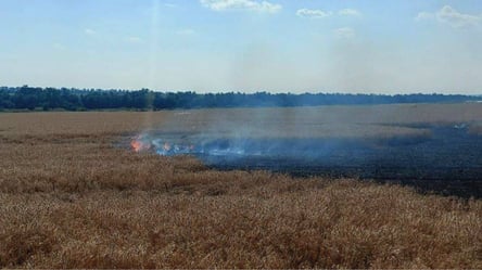 Оккупанты ударили по пшеничным полям Днепропетровской области - 285x160