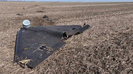 На кордоні з Одещиною у Молдові виявлено фрагменти дрону РФ - 285x160