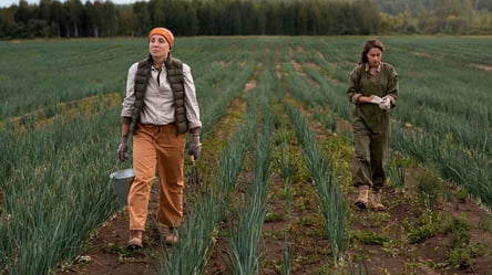 Право собственности на землю — когда могут отменить - 285x160