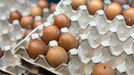 Яйця в АТБ знайшли свою цінову нішу — скільки коштує одна штука в лютому - 285x160