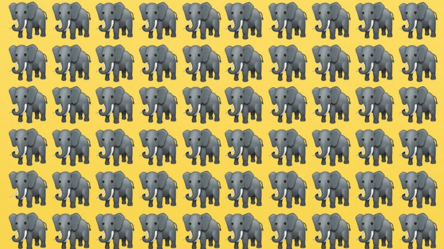 Слоненок не похож на своих "братьев" — найдите, какой, за 11 секунд - 285x160