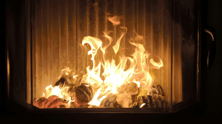 Дрова чи паливні брикети — що обрати для опалення у 2026 році - 290x160