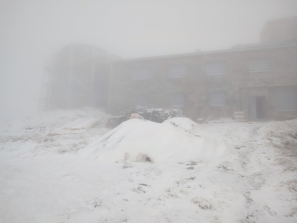 Сніг в Карпатах