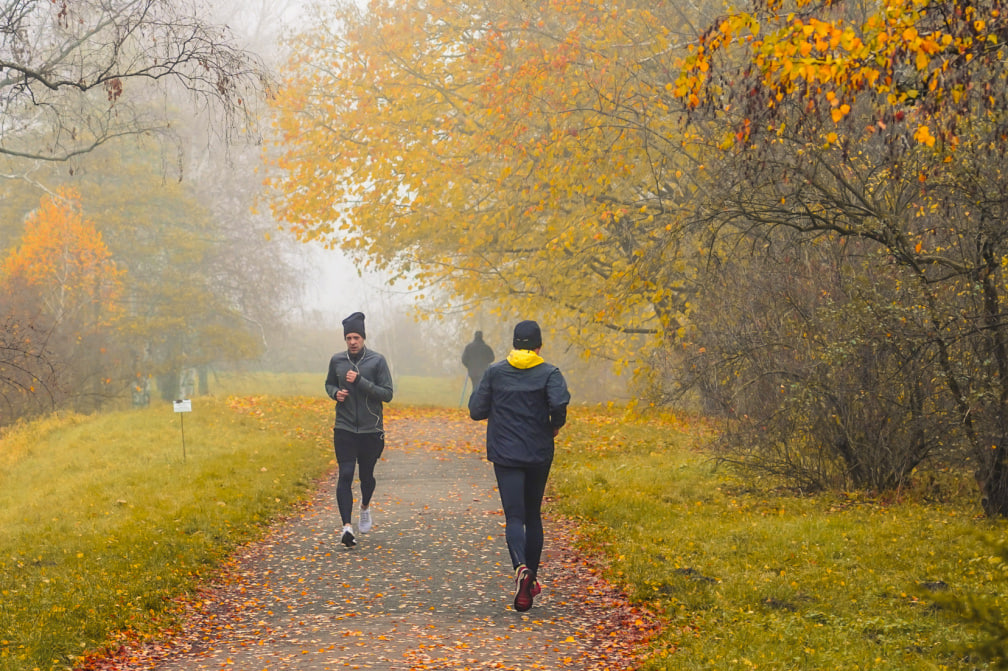 Спортсмени у парку, Київ