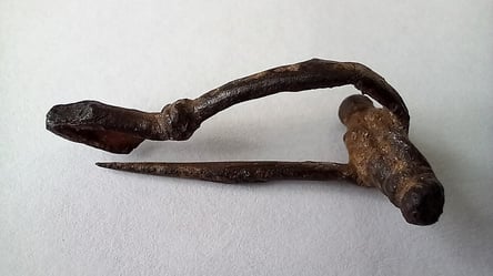 Чоловік хотів продати старовинні фібули — відповість перед судом - 285x160