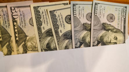 Українку не пустили в Польщу через 100-доларову купюру: в чому проблема - 290x166