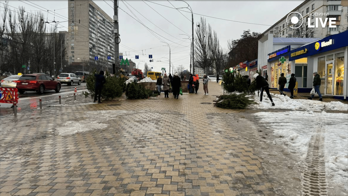 Продажа новогодних деревьев в Киеве - цена на сосну