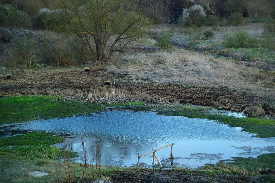 Природні перлини Рівненщини, про які мало хто знає - фото 1