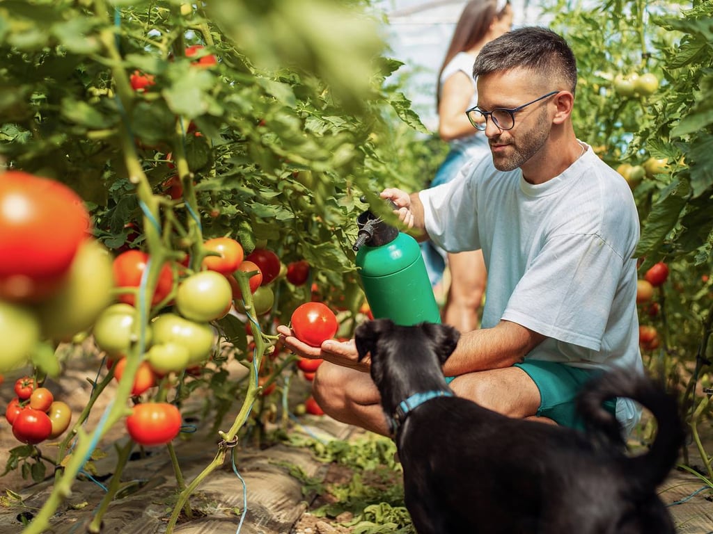 Як уникнути йододефіциту та правильно підживити рослину