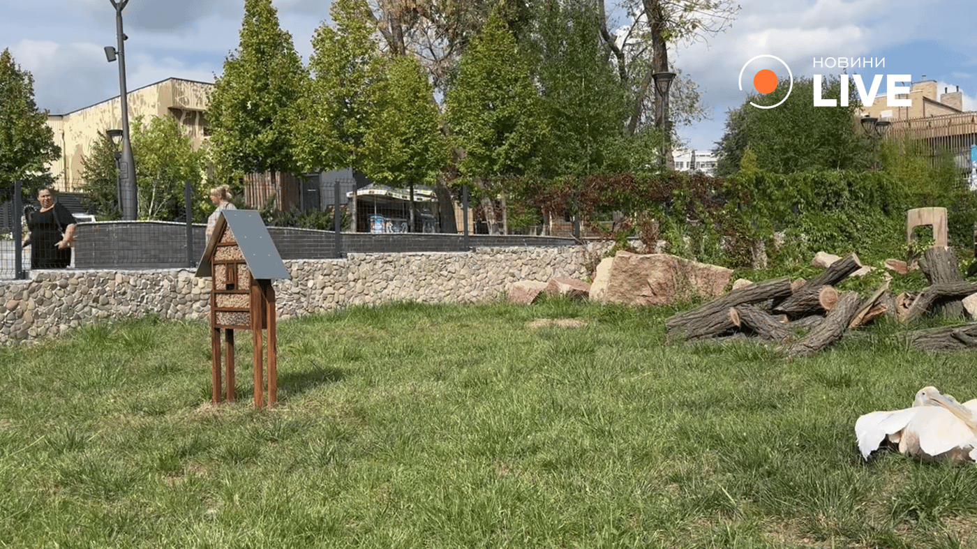 Готель для комах