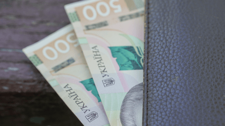 Зимова тисяча — до коли потрібно її витратити - 285x160