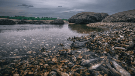Який вигляд має Каховське море: моторошні фото - 285x160