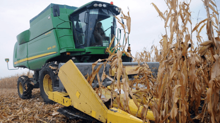 Цены на зерно в Украине стремительно растут — сколько стоит кукуруза в мае - 285x160