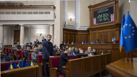 Рада изменила срок пребывания иностранных волонтеров в Украине - 304x171