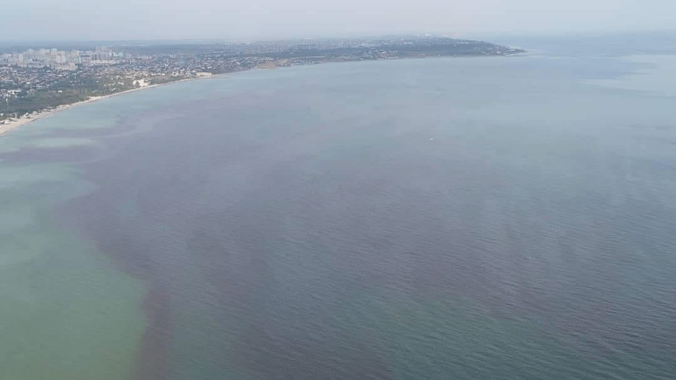 В Одесі помітили цвітіння і світіння води