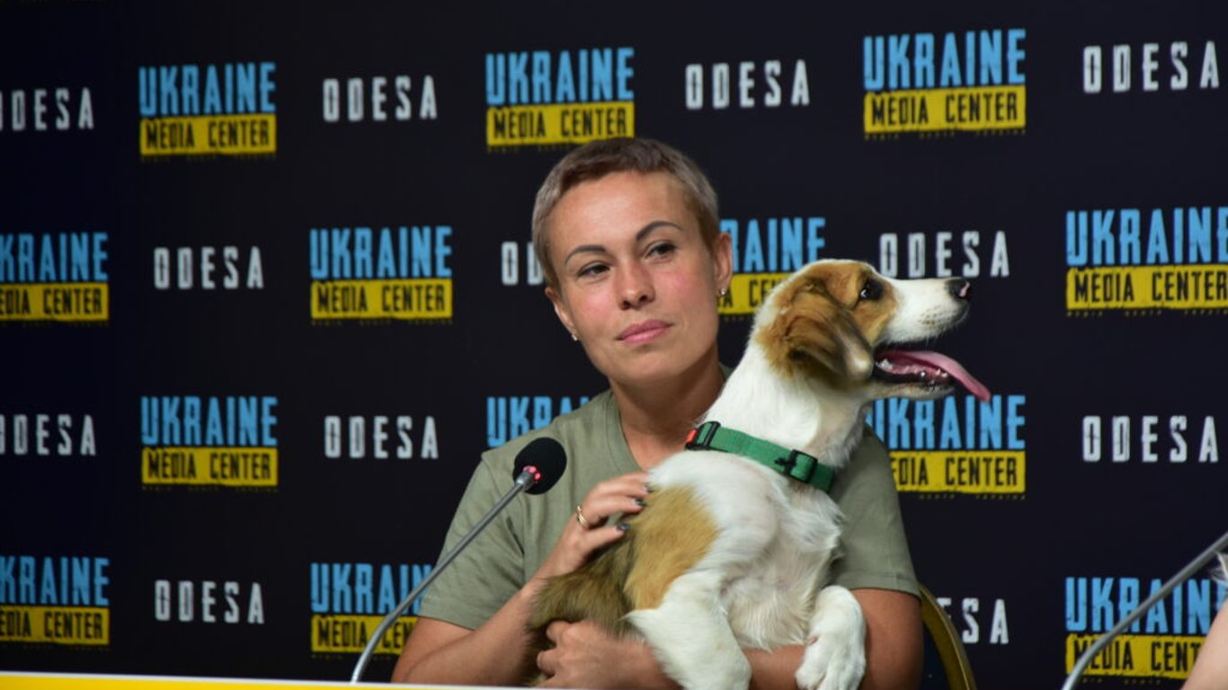 Тварини з Херсонщини шукають довий дім в Одесі: як допомогти