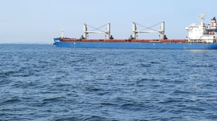 Возобновление экспорта зерна: два судна готовы зайти в порты Одесчины для загрузки - 285x160