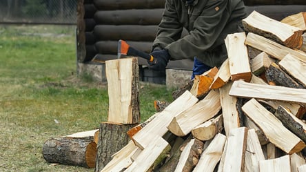 Дрова з власного саду — які дерева можна рубати законно - 285x160