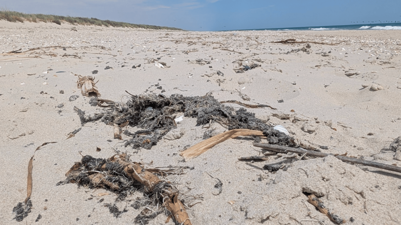 Мазут на березі моря