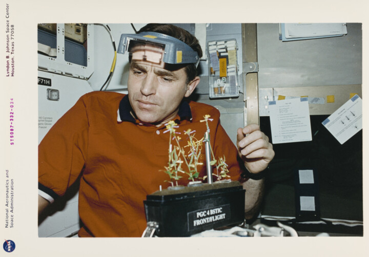 каденюк в космосі