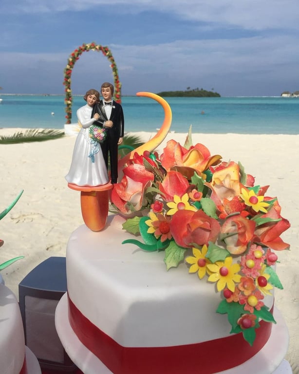 Весілля акторки Наталки Денисенко з чоловіком актором Андрієм Федінчиком. Фото: instagram.com/natalka_denisenko/