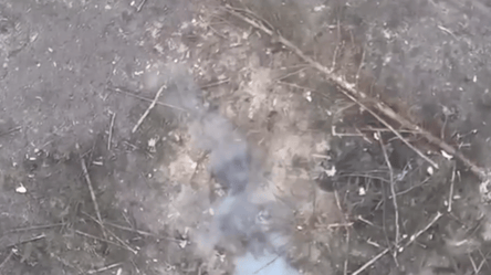 Оккупант не смог убежать от украинского дрона и взорвал себя гранатой - 285x160