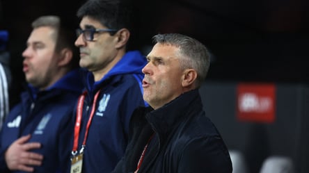 Мілевський похвалив Реброва за тактику гри збірної України - 285x160