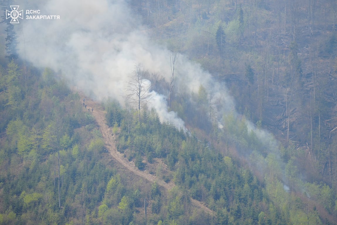 300 рятувальників на пожежі в Карпатах