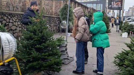 Середній і високий сегмент — скільки коштує ялинка або сосна - 290x166