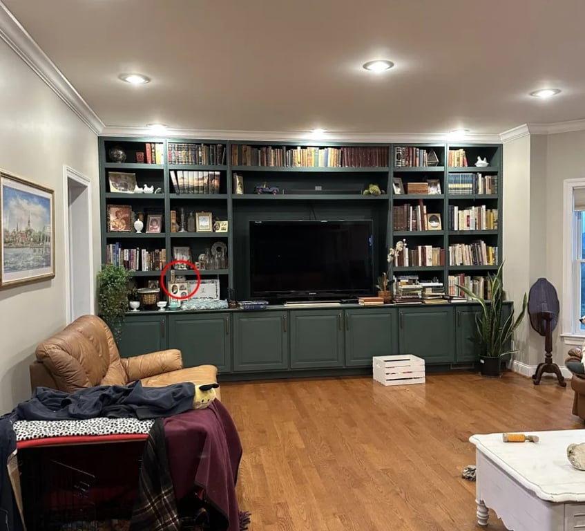 Кошачья хитрость — крайне сложная оптическая головоломка только для внимательных - фото 2