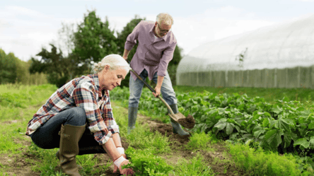 Осіннє рівнодення 2025 — що треба встигнути зробити на городі - 285x160