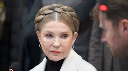 Родинний бізнес Тимошенко розсекретили — чим займаються її родичі - 285x160