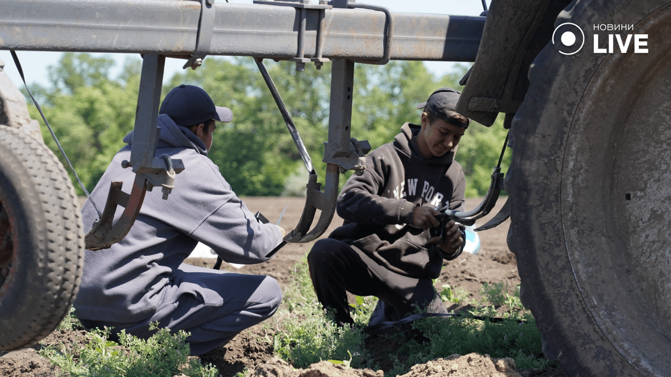 Землероби працюють на полі 
