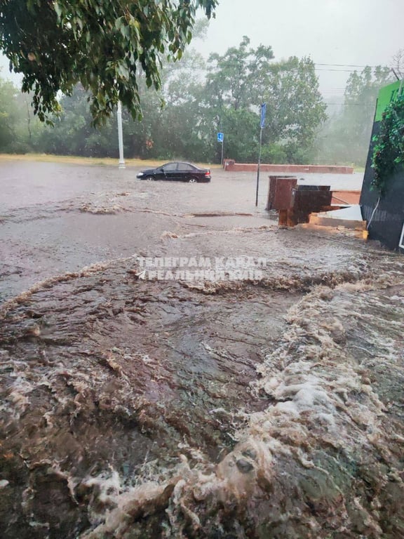 Київ накрила негода — повідомляють про затоплені вулиці та повалені дерева - фото 3